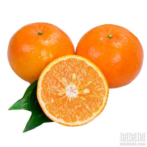 亿熙 沃柑 贵妃柑 5斤 *2件