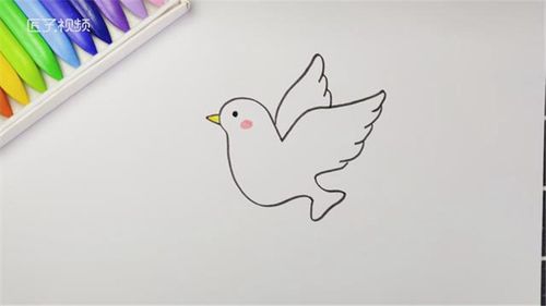 鸽子简笔画的步骤