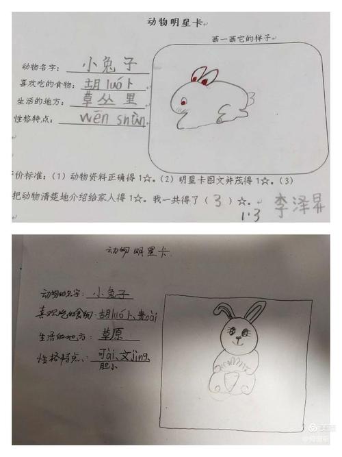 《动物明星卡》——海河小学一年级道德与法治主题教育活动(五)