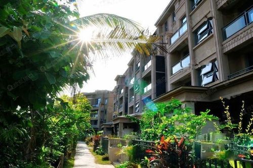 三亚翠屏凤凰海岸城区唯一板式洋房