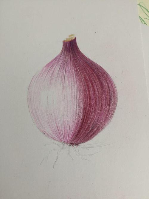 边流泪边把它画完辣眼睛的洋葱教程呈给大家