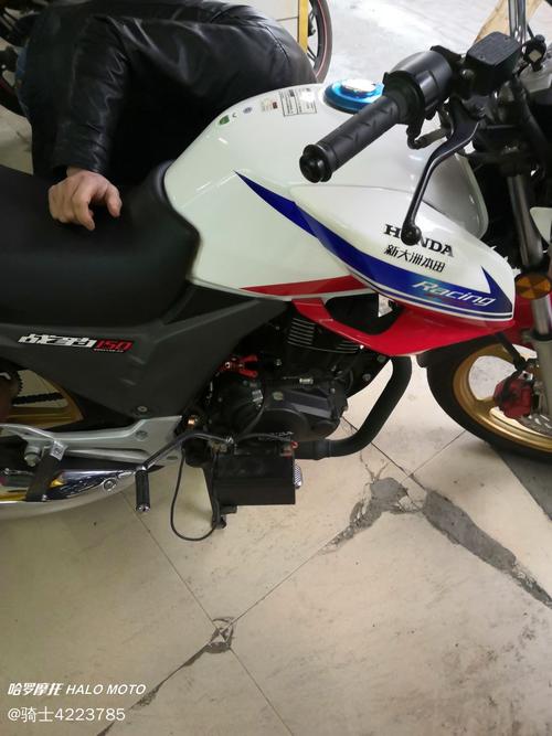 新大洲本田 战豹150