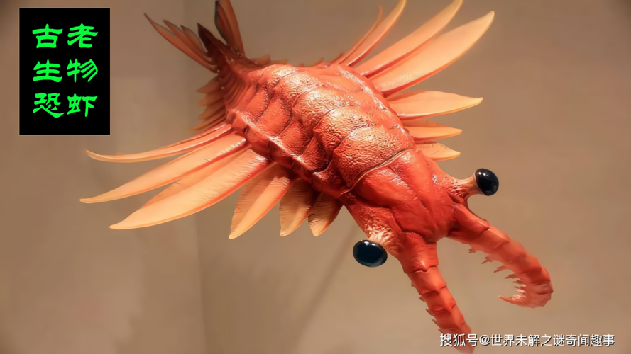 皮皮虾是外星物种做完实验后科学家发现它全身黑科技