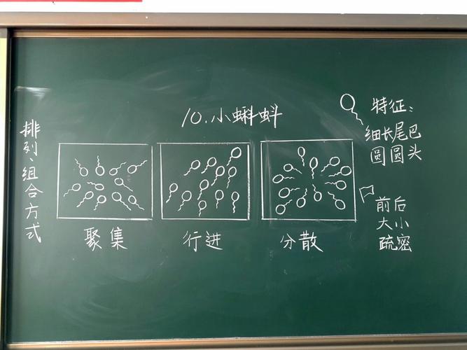 小学美术教学中的板书设计