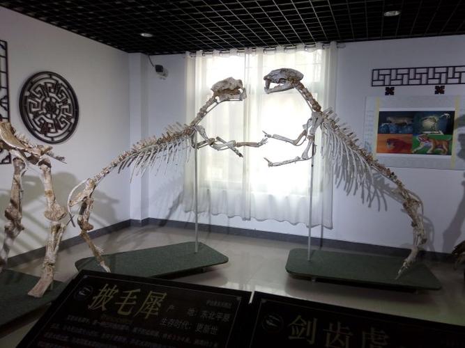 顾村公园——古生物化石博物馆