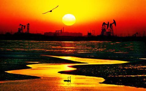 去东营,滨州各玩一天,哪些地方好玩