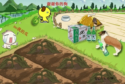 qq农场搞笑, qq农场偷菜表情大全