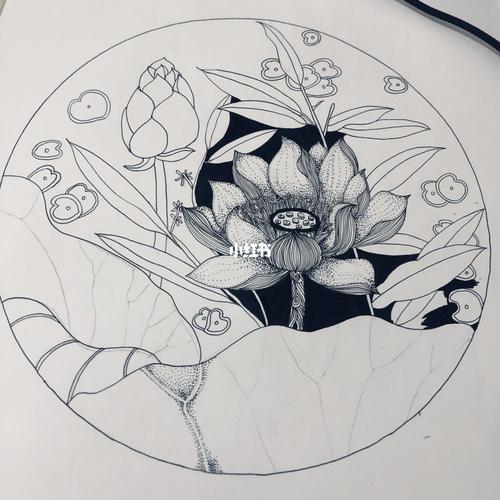 荷花手绘_手绘_文化_绘画