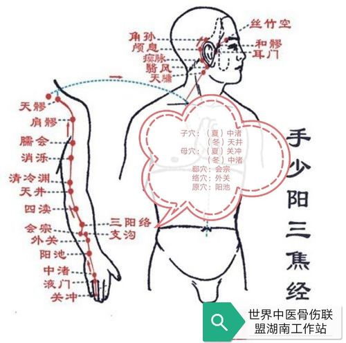 手少阳三焦经,从手走头,晚上9点到11点,亥时.