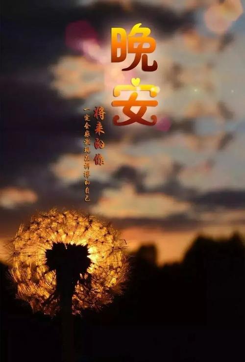 适合睡前晚安一句话说说正能量晚安励志心语