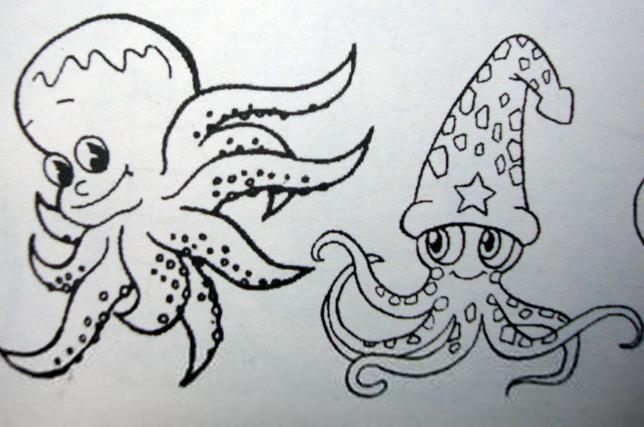 乌贼怎么画