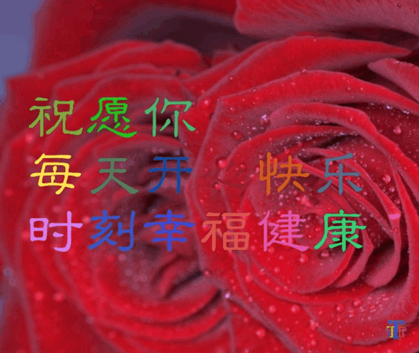 送给儿媳结婚十周年的祝福