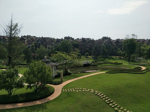 龙湖悠山郡 花园50 客厅挑高 无贷_成都二手房_成都