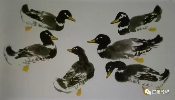 徐湛国画技法摘录鸭子紫藤荷花的画法