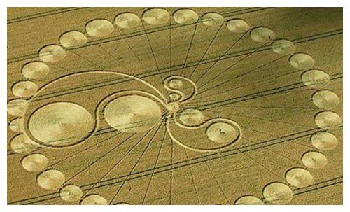 世界十大未解之谜(七)麦田怪圈