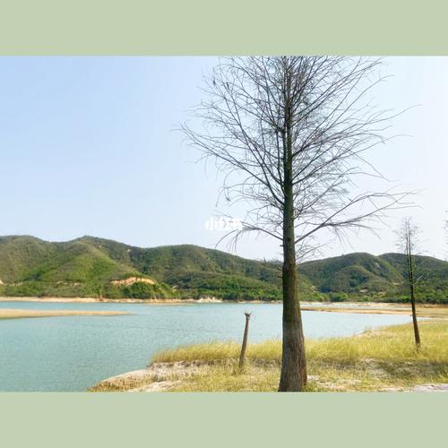 江门台山周边游——南坑水库_周边游_露营_户外_小众