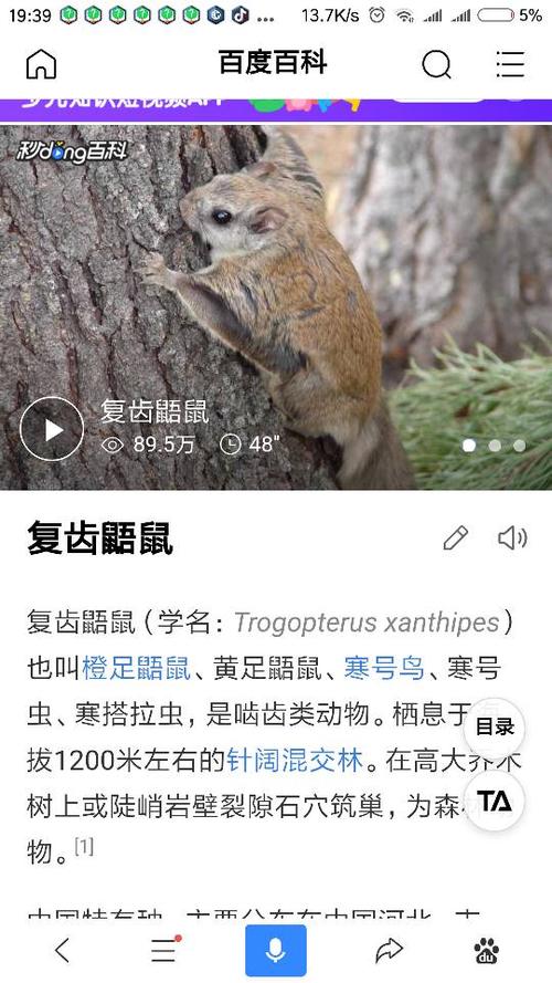 寒号鸟是鸟类还是鼠类?