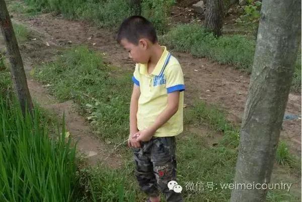 (十)稻田边,撒尿的小男孩.