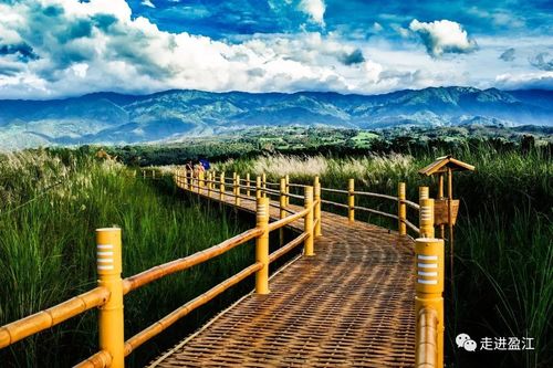 "十·一"黄金周期间 与大盈江风景名胜区来一次鲜花的邂逅