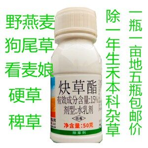 小麦除草剂炔草酯春冬小麦田苗后野燕麦稗草狗尾草禾本农药除草剂