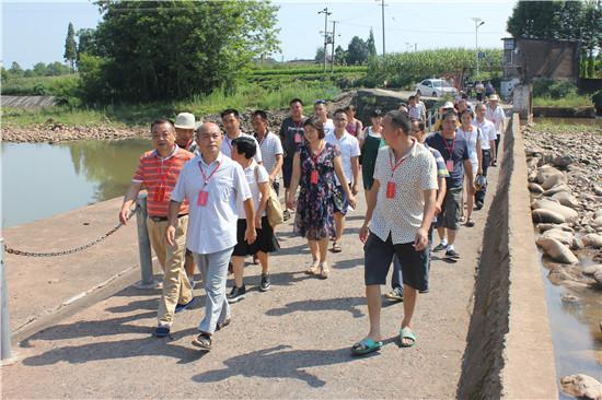 助力环境治理 洪雅县花溪镇人大代表在行动