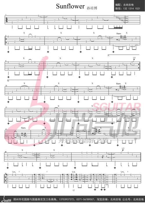 sunflower指弹谱孙培博太阳花吉他独奏谱高清图片谱