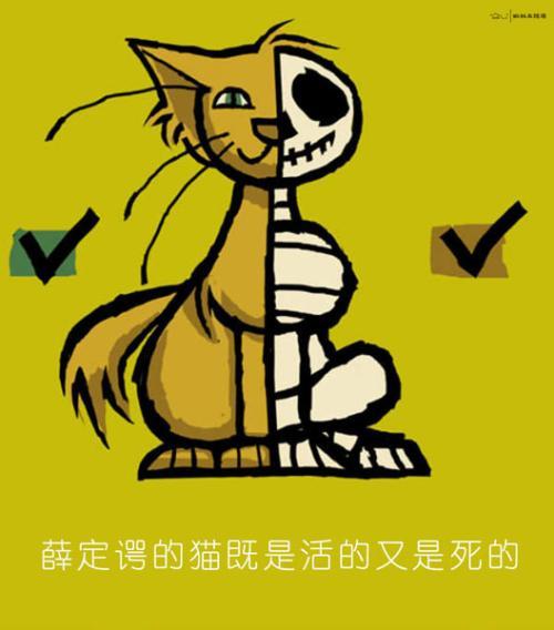 薛定谔的猫时间长了饿不死吗?