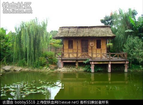 茅屋还是很安全的