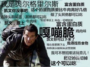 书作家,国际演讲家,空手道黑带,前英军特种兵,演讲家,荒野求生专家