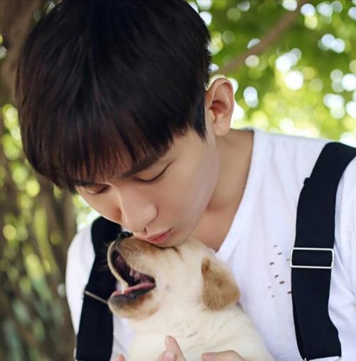 成毅头像壁纸合集