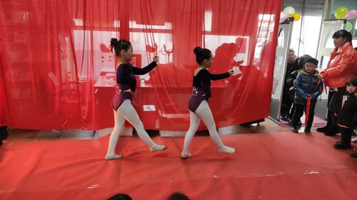 舞蹈《小木马》