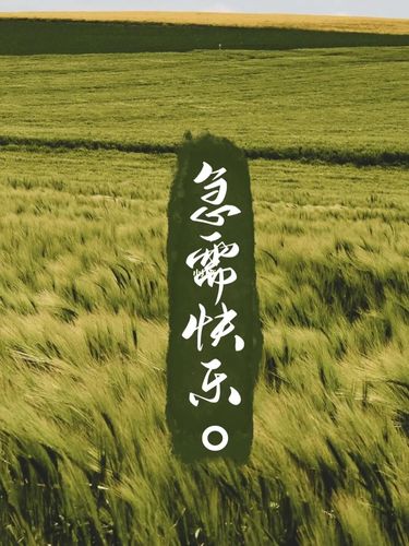 人生处处充满了惊喜!_工作_学习_生活记录_接地气生活