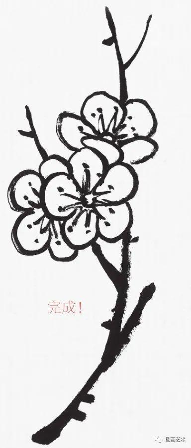 书画联盟丨学画梅花之花与枝的组合画法示范