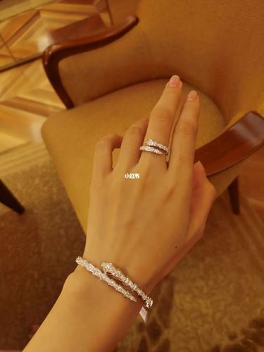 澳门9890宝格丽蛇形手镯太美了_手镯_宝格丽怎么样_永利皇宫酒店