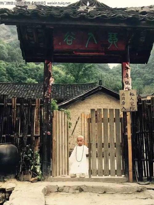 带着妻女隐居武当深山,他才是世界上活得最赚的男人