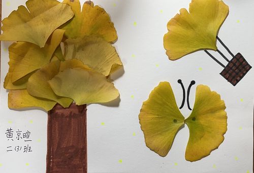 许昌市毓秀路小学二(3)班百变的银杏叶