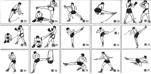 泰拳腿功发力训练法