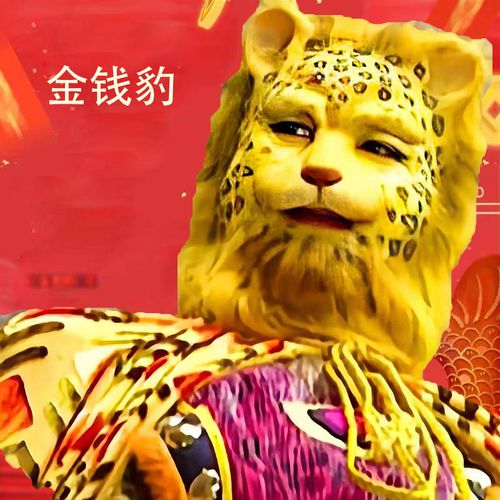 金钱豹2022虎年新款新年春节vx红包封面动态序列号微信红包领取wx