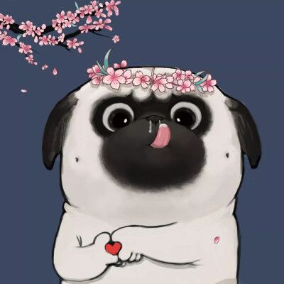 情侣头像吾皇猫