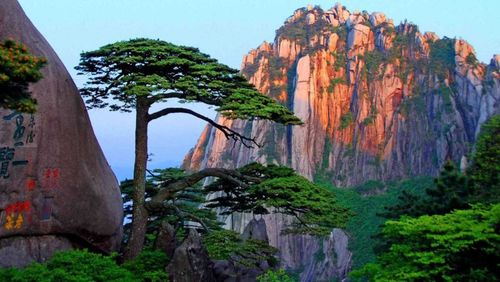 安徽黄山有哪些著名的景点?这"四绝"各具特色,都值得来此一游