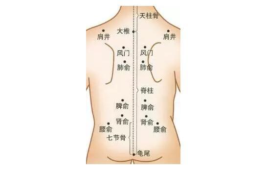 1-3岁 幼儿健康 小儿湿疹推拿按摩手法 手法:四指放置小儿腹部,以肚脐