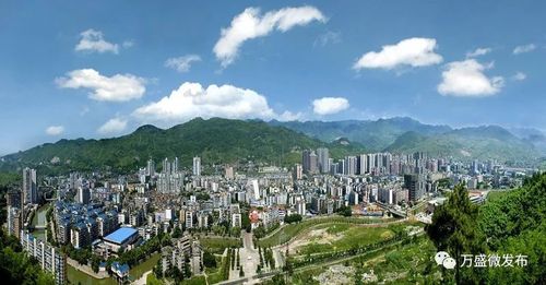 子女:万盛街道,东林街道, 万东镇,南桐镇,关坝镇,青年镇,丛林镇,金桥