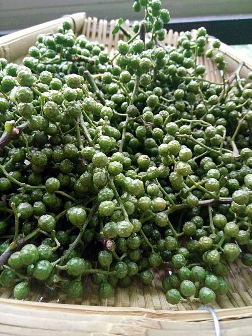 新鲜青花椒(藤椒)的家庭保存方法