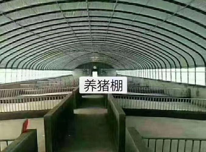 养猪棚-农旺温室大棚
