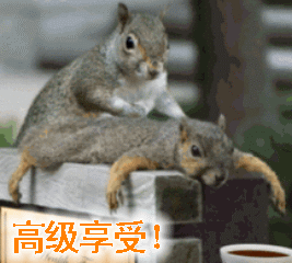 继续吹,俺就喜欢看你们吹牛逼的样子.