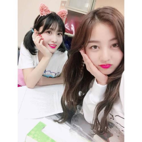 twice平井桃momo爱豆头像