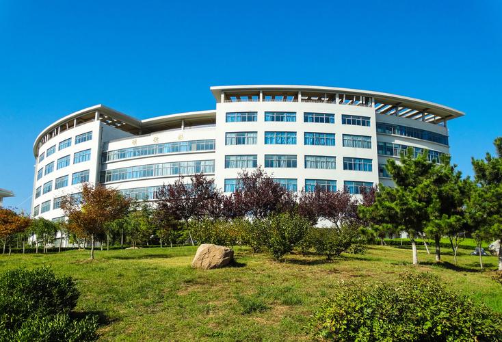 青岛科技大学政法学院