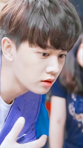 开个表白楼,表白任嘉伦