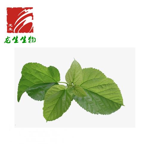 桑叶提取物1-dnj 2% 厂家现货 三原龙生生物 欢迎咨询