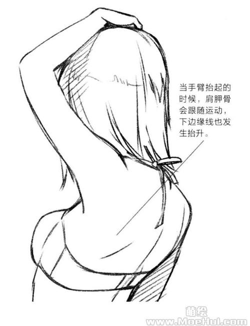 3.肩膀的形成